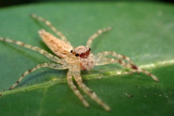 PB181355a.jpg